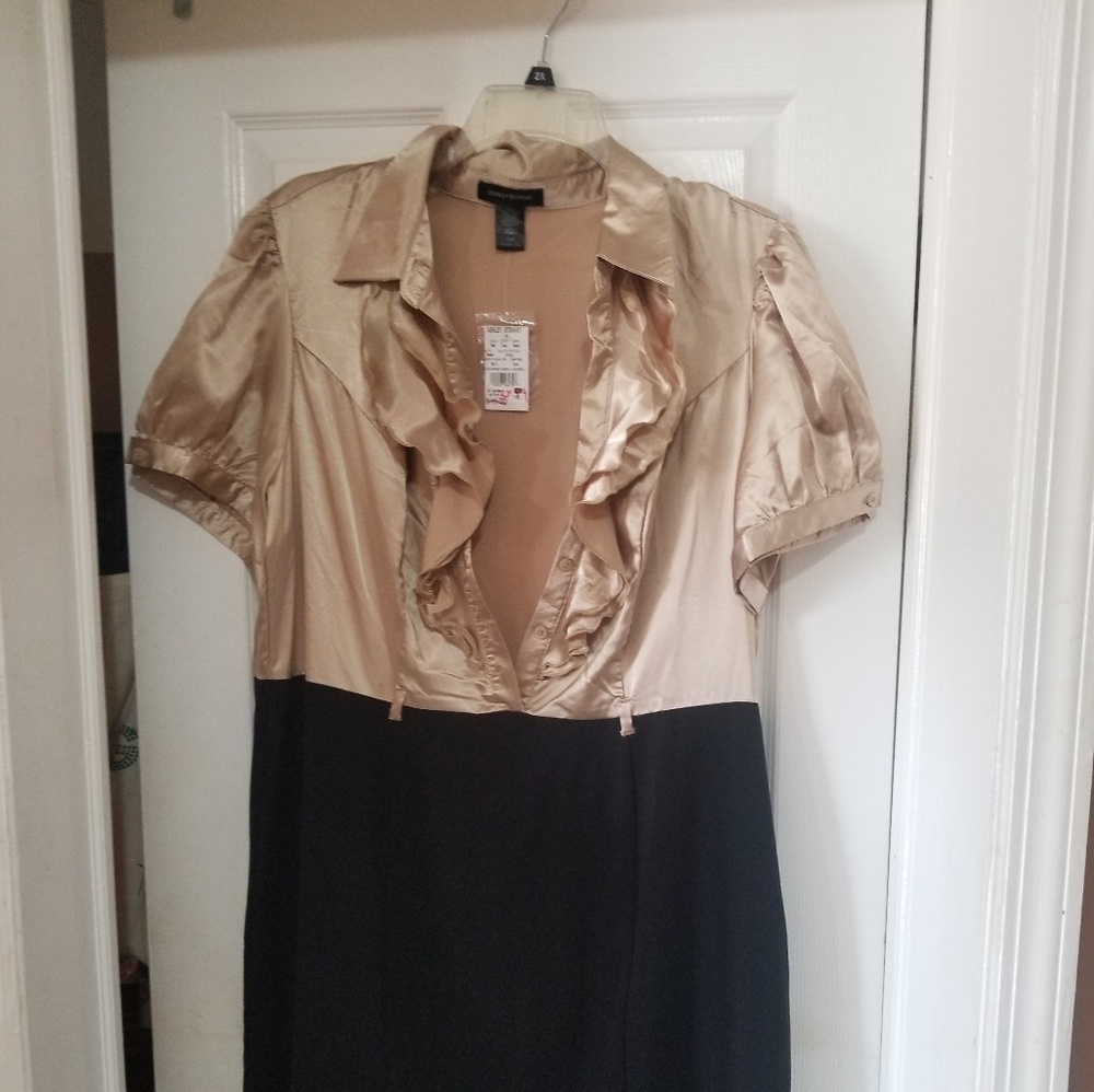 ASHLEY STEWART NWT KNEE LENGTH DRESS